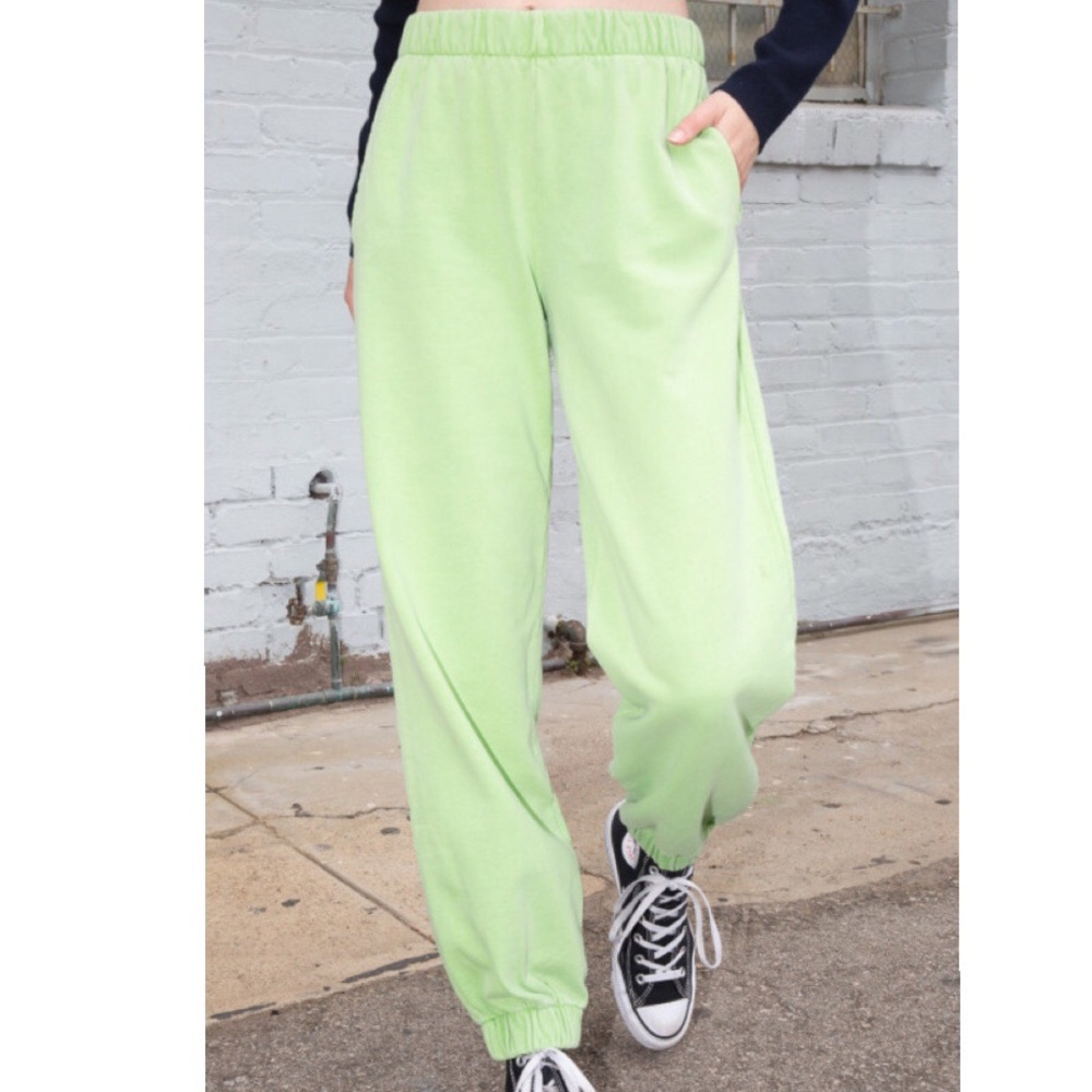 nwot brandy melville green rosas